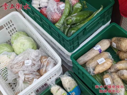 美麗河北 e起過年——故城品牌農產品進社區，稱心年貨送上門